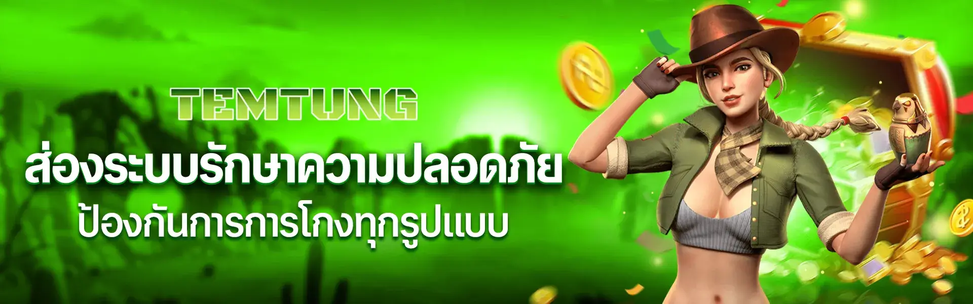 temtung ระบบรักษาความปลอดภัย